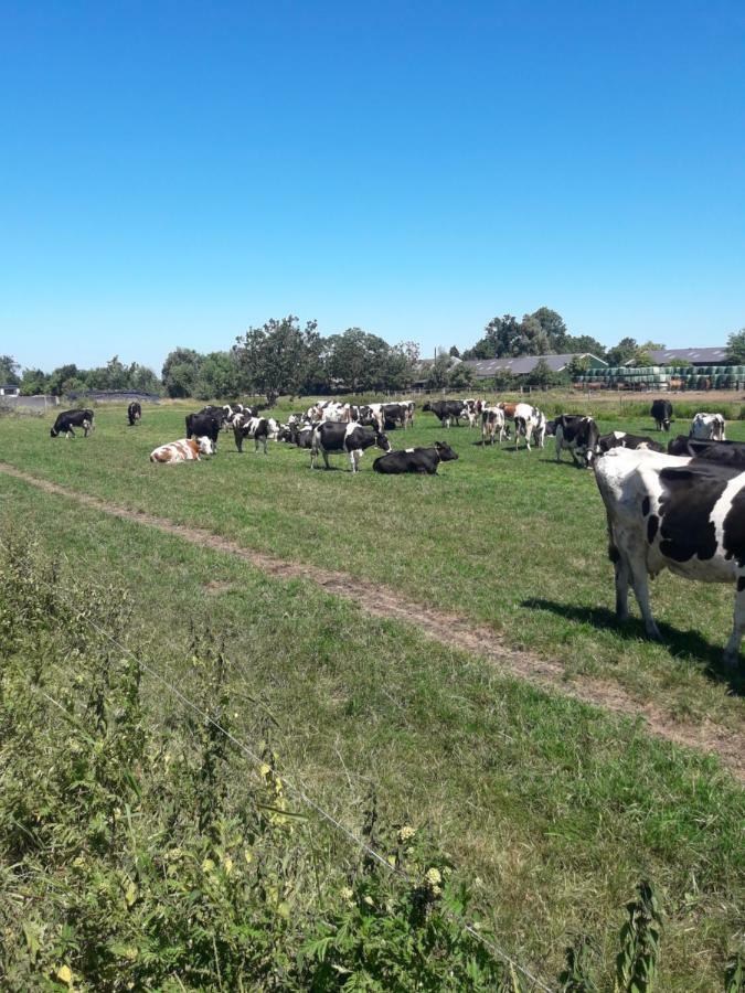 דירות Oudewater Lodderlogies מראה חיצוני תמונה